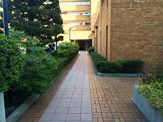 カストルム洛北：庭