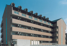 セコンダリー谷畑